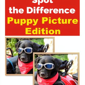 Spot the Difference Optical Illusion Puzzle Kindle Edition by XYZ-0