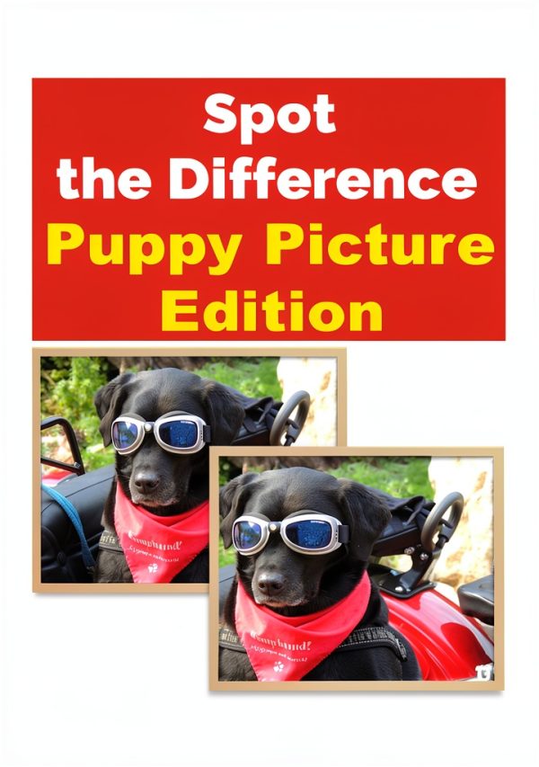 Spot the Difference Optical Illusion Puzzle Kindle Edition by XYZ-0