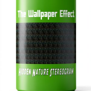 Optical Illusion Book for Kids The Wallpaper Effect Kindle Edition-0